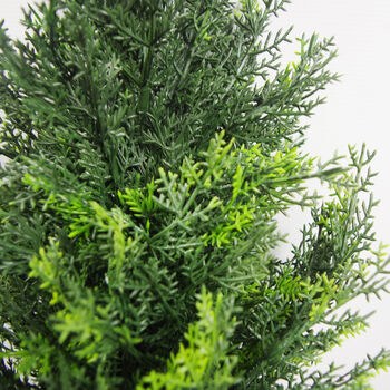 60cm Uv Protected Artificial Cedar Cypress Topiary, 3 of 3