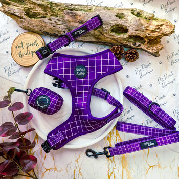 Royal Purple Patch Dog Collar, 4 of 6