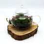 Diy Mini Teapot Terrarium, thumbnail 5 of 9
