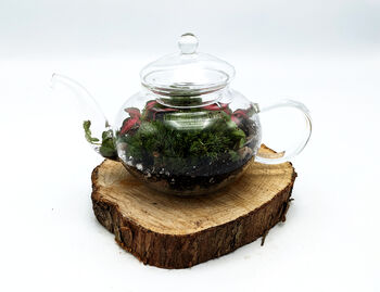 Diy Mini Teapot Terrarium, 5 of 9