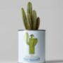 Percy Pricklebum. Grow Your Own Cacti Kit, Gardening Gift, thumbnail 1 of 5