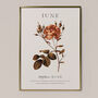Birth Flower Wall Print 'Rose' For June, thumbnail 5 of 9