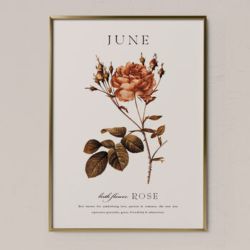Birth Flower Wall Print 'Rose' For June, 5 of 9
