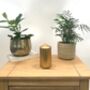 Gold Pillar Candles Two X Candle Pack 130mm X 68mm, thumbnail 1 of 3
