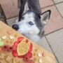 Afternoon Tea Doggy Biscuits, thumbnail 6 of 11