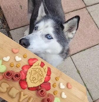 Afternoon Tea Doggy Biscuits, 6 of 11