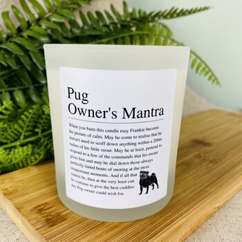 Fun Personalised Pug Dog Owner's Affirmation Candle, 2 of 11