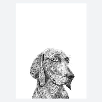 Weimaraner Dog Print, 2 of 3