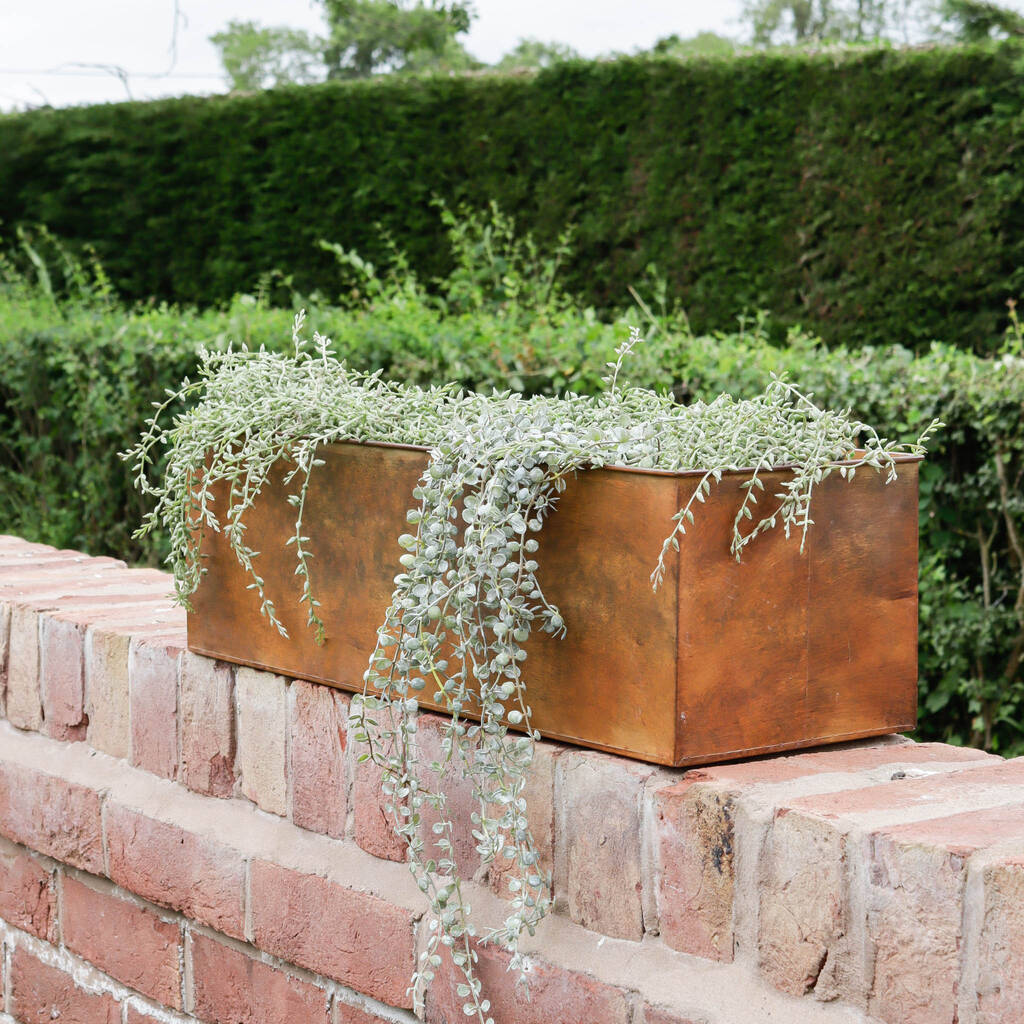 Rust Effect Metal Trough Planter By Marquis & Dawe | notonthehighstreet.com