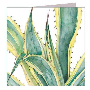 Agave Greetings Card, 2 of 5