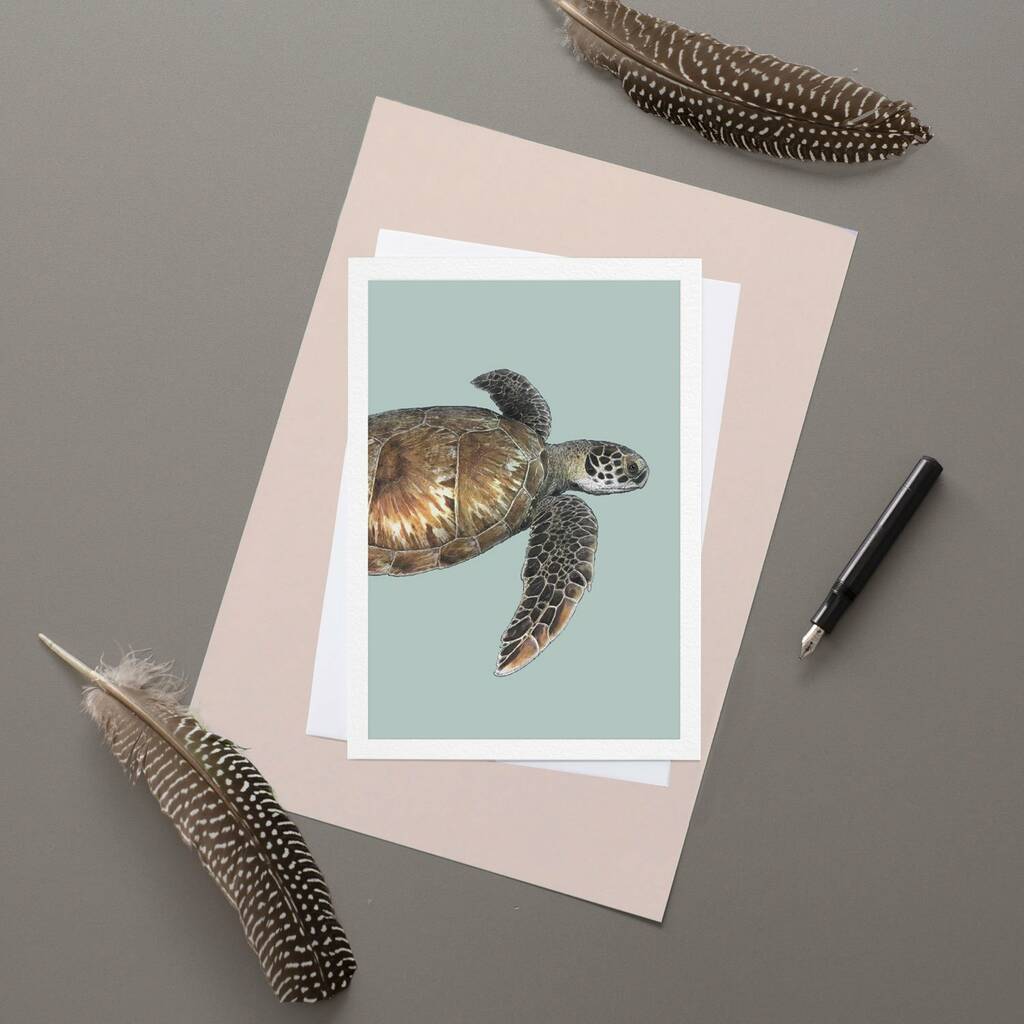 Green Sea Turtle Greeting Card By Ben Rothery Illustrator