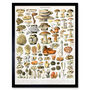 Millot Encyclopedia Page Mushrooms Variety Art Print, thumbnail 1 of 3