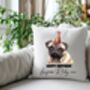 Personalised Pug Birthday Congratulations Party Cushion, thumbnail 1 of 2