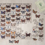 Butterflies Of The British Isles Wooden Jigsaw Puzzle, thumbnail 5 of 7