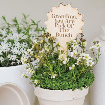 Personalised 'My Daddy Is Mint' Plant Marker, 2 of 2