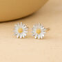 Sterling Silver April Birth Flower Daisy Stud Earrings, thumbnail 1 of 3