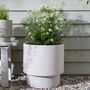 Noma Beige Footed Planter, thumbnail 4 of 8