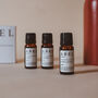 Set Of Three France Inspired Diffuser Fragrance Oils, thumbnail 3 of 4