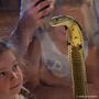 Venomous Snake Show For Two In Bristol, thumbnail 5 of 7