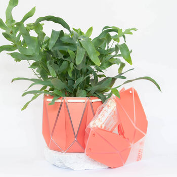 Origami Self Watering Eco Plant Pot: 18cm | Coral, 4 of 6
