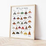 The A To Z Of Moths Print, thumbnail 3 of 6