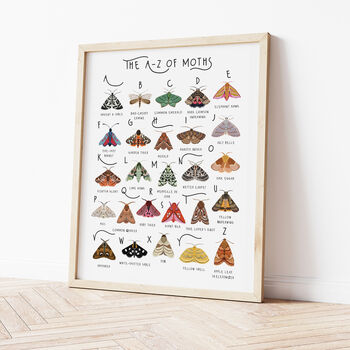The A To Z Of Moths Print, 3 of 6