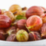 Gooseberry Plants, 'Hinnonmaki Red', thumbnail 8 of 8