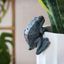 Frog Pot Hanger, thumbnail 1 of 3