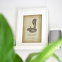 Funny Vintage Snake Art Print Nope Rope, thumbnail 4 of 4