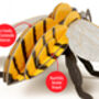 Build Your Own Honey Bee, thumbnail 12 of 12