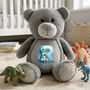 Personalised Dinosaur Alphabet Grey Plush Teddy Bear, thumbnail 1 of 10