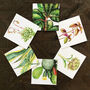 Mixed Botanicals Greetings Card Pack One, thumbnail 1 of 8