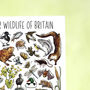 River Wildlife Of Britain Greeting Card, thumbnail 8 of 9