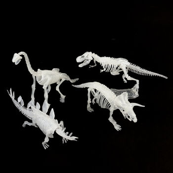 Glow In The Dark Dinosaur Skeleton Kit, 5 of 9
