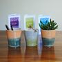 Best Teacher. Thank You Gift. Tumbler, Mug, Pencil Holder, Plant Pot, thumbnail 6 of 8