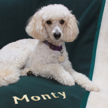 Personalised Embroidered Pet Blanket, 7 of 12