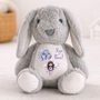 Personalised Fairy Birthday Bunny Plush Gift, thumbnail 1 of 4