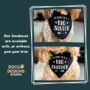 Big Sister Pregnancy Announcement Dog Bandana, thumbnail 3 of 8
