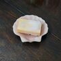 Scallop Shell Soap Dish In Pink, thumbnail 1 of 4