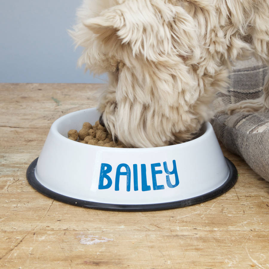 Personalised Non Slip Dog Bowl By Jonny's Sister