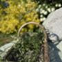 Kew Willow Garden Trug Basket | Antique Wash, thumbnail 2 of 5