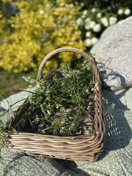Kew Willow Garden Trug Basket | Antique Wash, 2 of 5