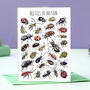 Beetles Of Britain Greeting Card, thumbnail 1 of 7