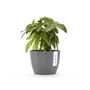Ecopots Stockholm Herb Pot Made From Recycled Plastic, thumbnail 4 of 6