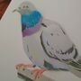 'The Pigeon' Original Stencil Edition, thumbnail 8 of 9