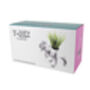 T Rex Planter, thumbnail 2 of 2