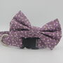 Purple Daisy Dog Collar And Lead Accessory Set, thumbnail 2 of 12