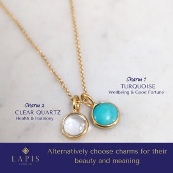 The 'Vip' Friends And Family Birthstone Necklace, 4 of 12