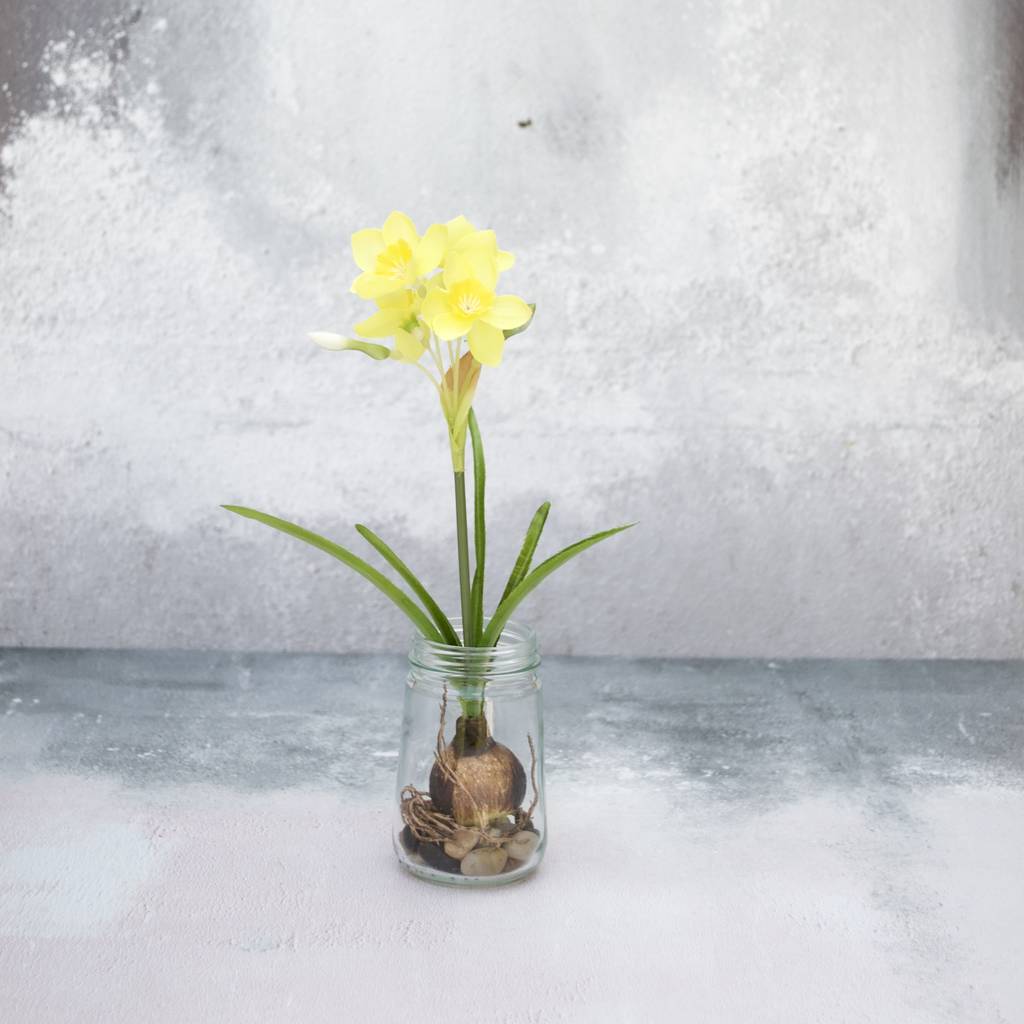 Silk Daffodil With Bulb In Glass Vase By Abigail Bryans Designs