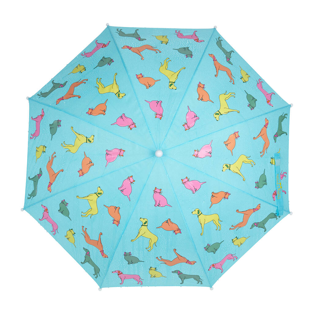 Holly & Beau Unisex Colour Changing Umbrella 